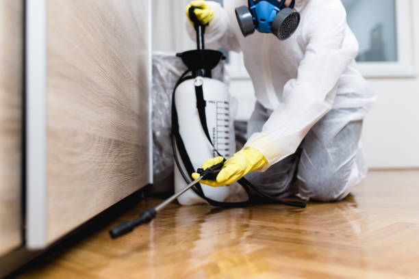 Best Best Pest Control Companies  in Chapin, SC